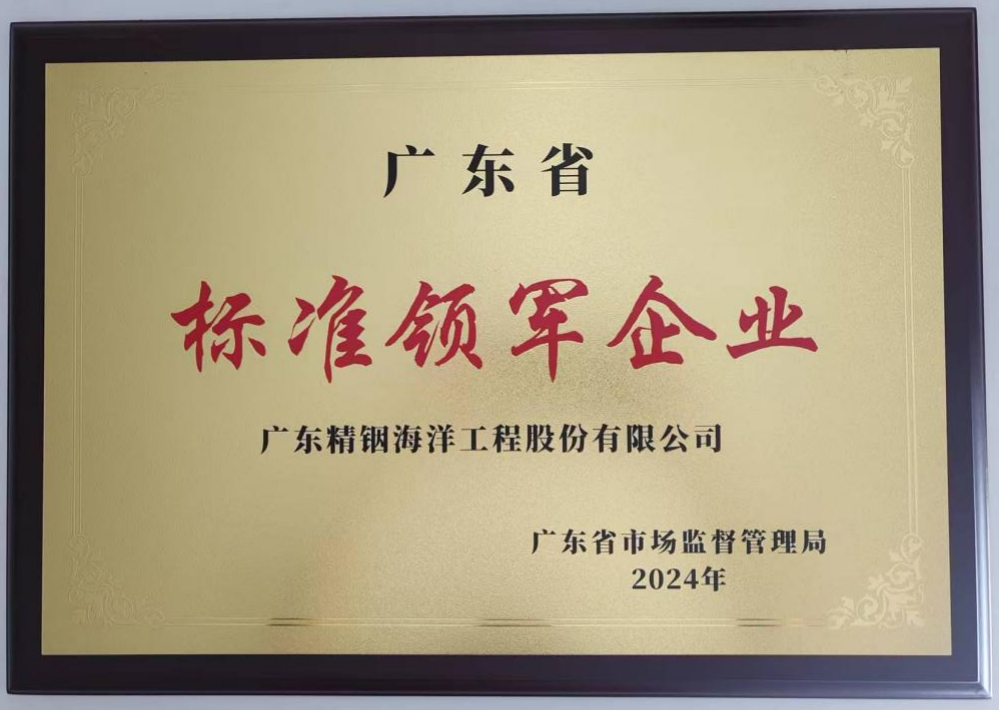 全省首批！精銦海工獲評(píng)“廣東省標(biāo)準(zhǔn)領(lǐng)軍企業(yè)”榮譽(yù)稱號(hào)